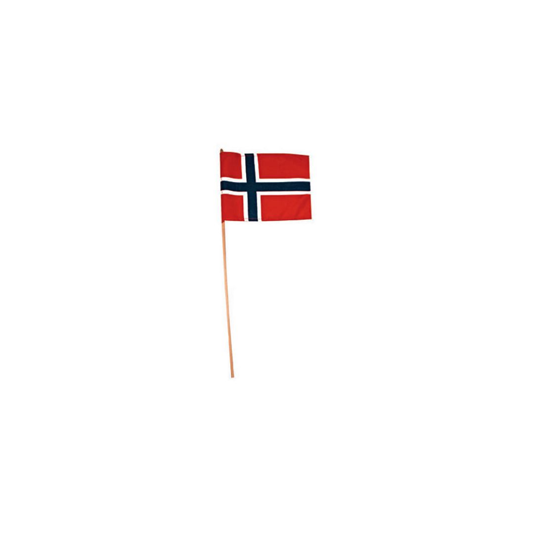 Flagg Norsk 20x28cm