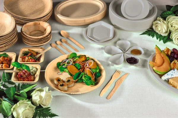 Diverse gjenbruk servise i tre og papp