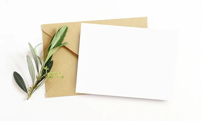 En hvit og en brun konvolutt med en liten kvist liggende på toppen