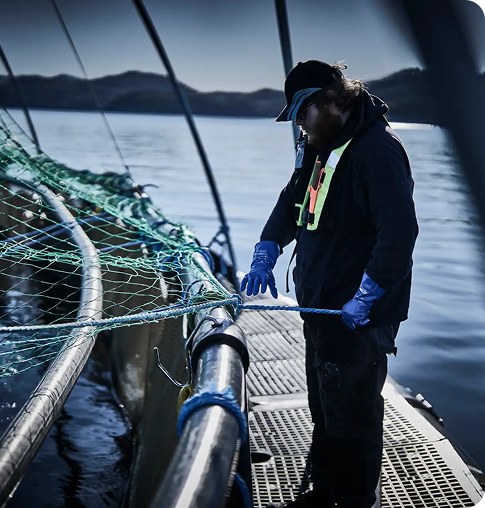 Bilde av en fisker på kaia som holder i ett tau som går til en netting