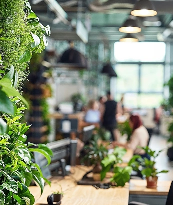 Miljøvennlig kontormiljø med planter