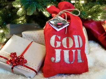 En god jul lue posse og flere pakker under ett juletre