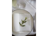 Serviett DUNILIN 40cm Hvit (45) Image