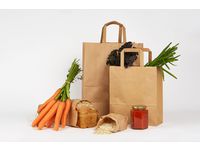 Bærepose papir m/håndtak 19L (250) Image