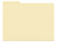 Vertikalmappe ESSELTE A4 fane vens 210g Image