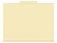 Vertikalmappe ESSELTE A4 fane midt 210g Image