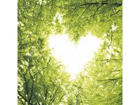 Serviett PAPERDESIGN 3L 33cm Nature(20) Image