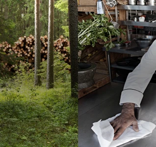 Unik verdikjede - fra skog til forbruker