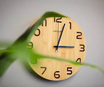 En veggklokke med noen blader fra en plante foran